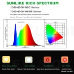 식물성정 LED -  BEYLSION전체 스펙트럼 데이지 체인 성장 조명 식물 램프 삼성 LM281B 실내 텐트 방 전체 키트 : 포웨히A