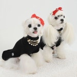 20% 특가 할인 행사중 [페르비엘라] 루나 진주 원피스 - 블랙 (ABF256) : 폼펫-FORMPET