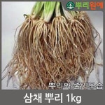 뿌리원예 삼채뿌리 1kg 생삼채 삼채뿌리 : 뿌리원예