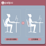 스파인 피터 필라테스 퍼지 코렉터 완화제 허리 들것 교정, 운동, 등 확장, 요가 보조 : 디자인콜렉트