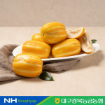 [대경사과원예농협] 성주 참외 5kg (정품 : 14-20과/가정용 : 12-26과) : NH경북농협