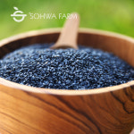 2025년 국산 볶은 검은깨 흑임자 500g 볶은검정깨 : 소화농장