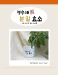 명수네 분말 효소 (1병, 무료배송, 분말 260g) : 명수네식품