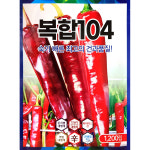 복합104고추 1200립 현대종묘 24년 : 제일농약사