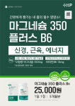 산화마그네슘 글루콘산마그네슘 엑스팜마그네슘 90정, 1개 : 비타트렌드