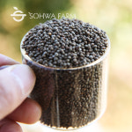 2025년 국산 볶은 거피 들깨가루 500g : 소화농장