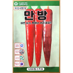 만방고추 1200립 그린하트 24년 고추 씨앗 고추종자 : 제일농약사