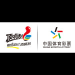 복권 긁는 도구 인테리어 소품 스티커 카드 스크래퍼 스포츠 로고 조합 베팅 스테이션 용품 : 디자인콜렉트