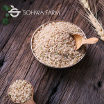 2025년 백미 현미 찹쌀 찰현미 5kg 혼합칠곡미 1kg : 소화농장