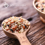 2025년 혼합잡곡 오색미 1kg 혼합쌀 저속노화식단 밥 : 소화농장