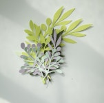 종이꽃 꾸미기재료 페이퍼플라워 게시판 : 하둥2토퍼