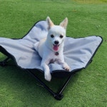 애견 캠핑 체어 강아지 침대 야외 피크닉 다용도 의자 : 리하월드