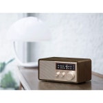 산진 Sangean WR-16SE AM/FM 블루투스 캐비닛 라디오 : 하로우빈