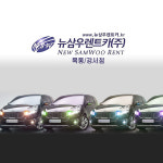[서울/강서구 양천구 평일]19년식 카니발렌트 디젤9인승 종합보험포함 : 뉴삼우렌트카 목동점