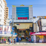 편도 팬스타 미라클 부산 오사카 배편 선박여행 선내식사포함 : 여행특공대
