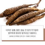 국산 더덕 500g 사삼 말린 건 더덕 : 꽃길식품