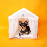 개과천선 프린세스 강아지 하우스 : 반려픽