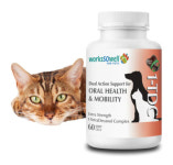 고양이 구내염 잇몸 입냄새 치은염,치주염 길고양이 염증 영양제 구강관리 1-TDC 코리아 120정 : 1-tdc 코리아