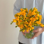 프리지아 꽃다발 후리지아 생화 택배 배송 생일 프로포즈 선물 : 플로도르