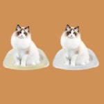 펫배드 강아지쇼파 고양이 창문 퍼치 애완 침대 강아지소파 애견쇼파 : ONE01