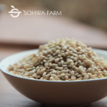 2025년 소화농장 찰현미2kg 5kg 찹쌀현미 : 소화농장