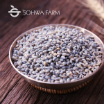 2025년 국산 청보리 쌀 1kg 청색보리 : 소화농장