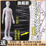 한의원 경혈지도 침술연습 전신마네킹 혈자리교육 침자리 지압마사지 피부바늘 뜸 괄사 : 판단고양이