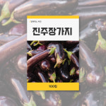 진주장가지 야채 열매 채소 씨앗 키우기 데팡스 : 데팡스 홈가드닝 종합쇼핑몰