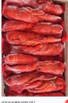 25년 신물 캐나다산 랍스터 랍스타 자숙 마리당 300g 이상 캠핑 냉동 바닷가재 홈파티 : 디프레시