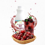 쉘몬 농축액 체리 1kg 베이스 카페 에이드 스무디 원액 (과육제품O) : 하우스플래닛
