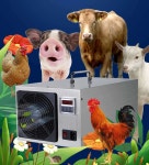 살균 제거 발생기 냄새 상품 탈취 오존 공기청정 정화 축사 : Springstroe