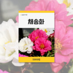 채송화 야생화 씨앗 봄꽃 꽃씨 키우기 데팡스 : 데팡스 홈가드닝 종합쇼핑몰
