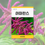 아마란스 야생화 씨앗 봄꽃 꽃씨 키우기 데팡스 : 데팡스 홈가드닝 종합쇼핑몰