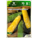 카보 초당옥수수 씨앗 100립 우수한 식미감 고당도 다수확 흥농씨앗 : 큰들상사