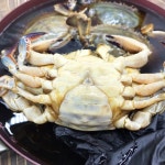 간장게장 국내산 간장 암꽃게장 군산 간장 게장 2.5kg : 바다베개