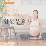 온라인요가온 - YOGAON 임산부 요가 1개월 수강권 : 온라인요가온