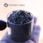 2025년 국산 볶은 통들깨가루 500g : 소화농장