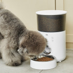 오아 이리와 펫 대용량 고양이 강아지 자동급식기 음성녹음 : 오아스토어
