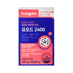 영진약품 영플랜 갑상선 호르몬건강 요오드 2400 400mgx60정 아이오딘 : 영진약품