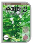 슈퍼태강참깨 3000립 씨앗 종자 : 텃밭마트