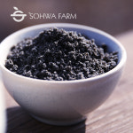 2025년 국산 검은깨 흑임자 가루 500g : 소화농장
