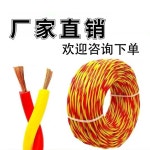 선전기조명 | 실외 전선 플라워라인 2 속 1525 제곱V 애드LED 조명스탠드 감시카메라 선전기 사이클 : 유기농기프트