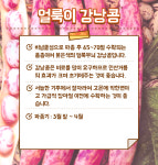 국산 얼룩이 강낭콩 씨앗 600g 대용량 비덩쿨성 얼룩 강낭콩 비넝쿨성 : 친환경식물 키움스토어