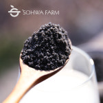 2025년 서리태 흑임자 선식 500g 검은콩 검은깨 미숫가루 : 소화농장