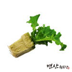 수경 재배 모종 유럽상추 바타비아 메디테이션 : 변산육묘장