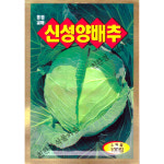 양배추 씨앗 100립 씨종자 신성양배추 봄 가을 다이어트 샐러드 채소 주말농장 텃밭 : 친환경식물 키움스토어