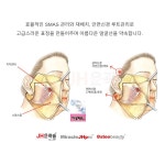 손영순 피부관리실 | 키네스테 얼굴학 얼굴윤곽 (60min) 10회 [강남 도곡동 도곡 피부관리실] : 청아가약