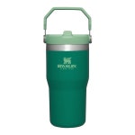 Stanley IceFlow 스탠리 스테인리스 스틸 진공 단열 텀블러 20온스 : 뚜르마켓