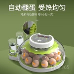 병아리부화기 오리 닭  인큐베이터 가정용 메추리 거의 알 : 지구몰365
