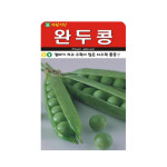 완두콩 씨앗 20g 콩 종자 씨 : 자재1번가